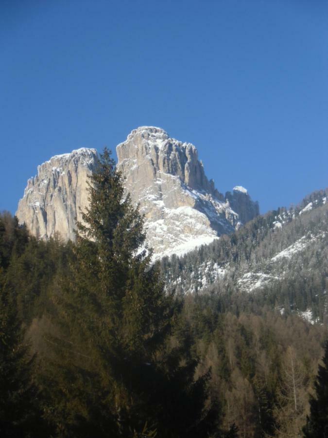 Garni Festil Otel Campitello di Fassa Dış mekan fotoğraf