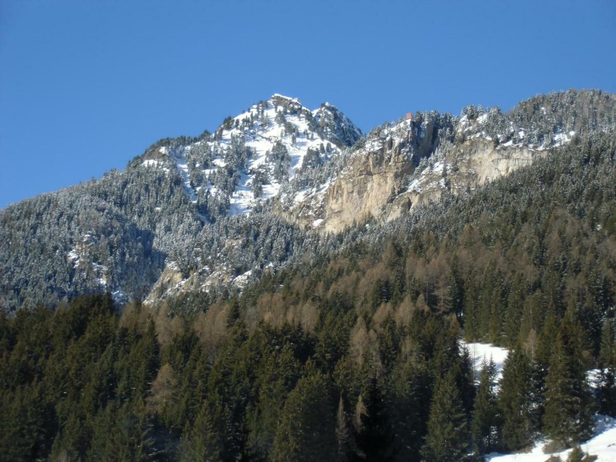 Garni Festil Otel Campitello di Fassa Dış mekan fotoğraf